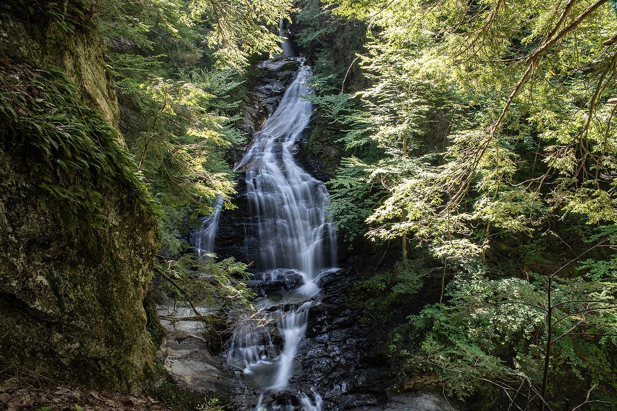 Cascading Waterfall Through Lush Forest Canopy