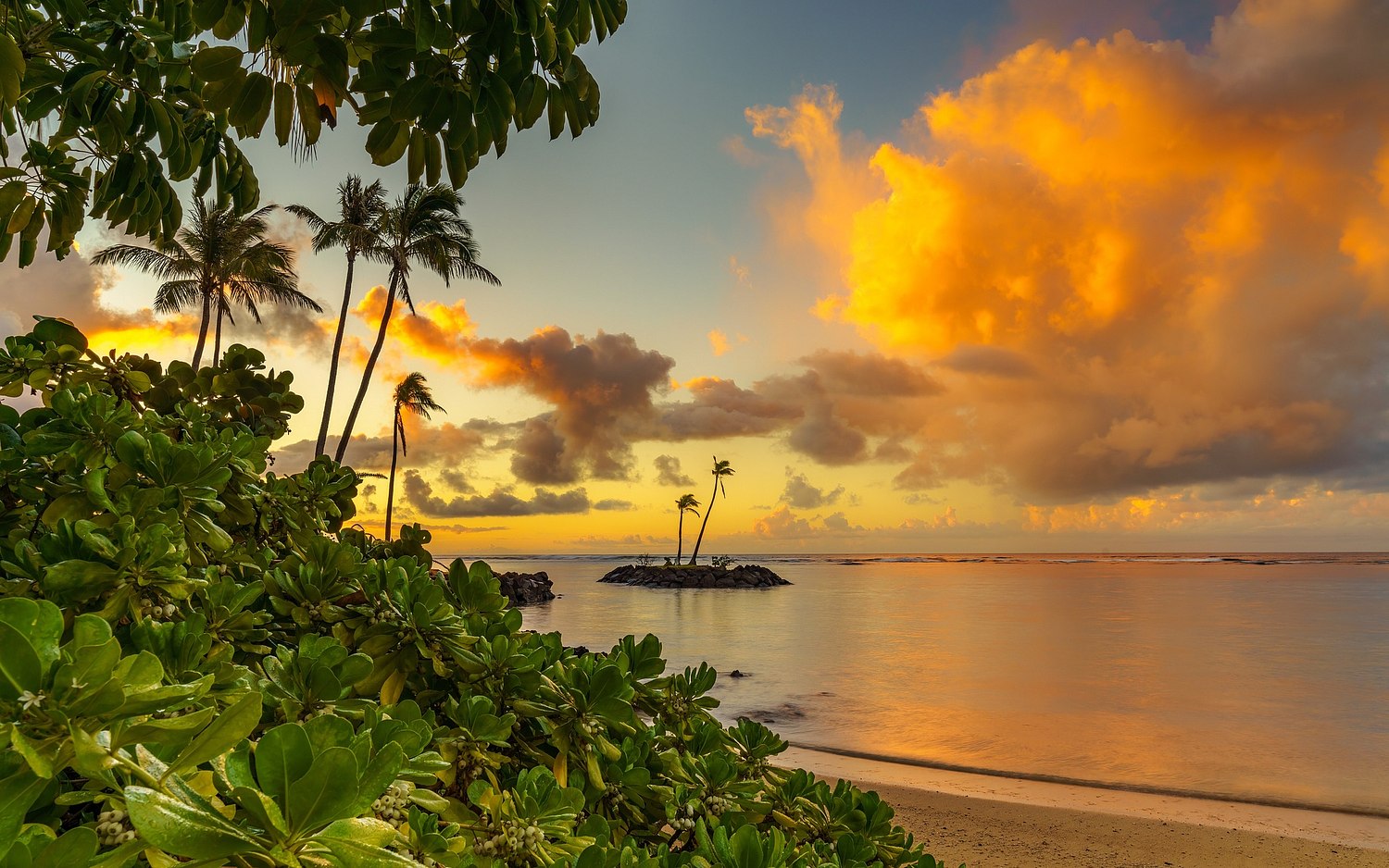 Dream Shot Hawaii