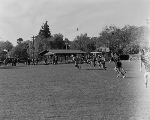 rugby