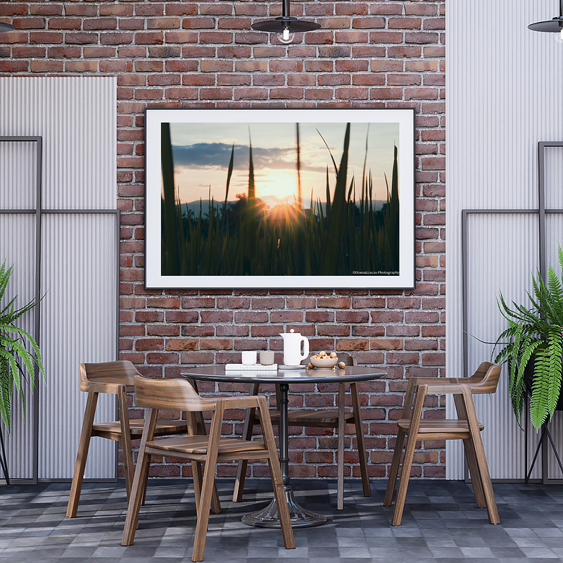COLLECTION - GIANTS OF THE LAND HORIZONTAL - "Sun Burst" - LIMITED EDITION 10 of 10