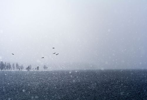 Snöfall