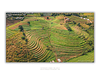 COLLECTION - FROM ABOVE HORIZONTAL - "Drawn by the Land" - LIMITED EDITION 10 of 10