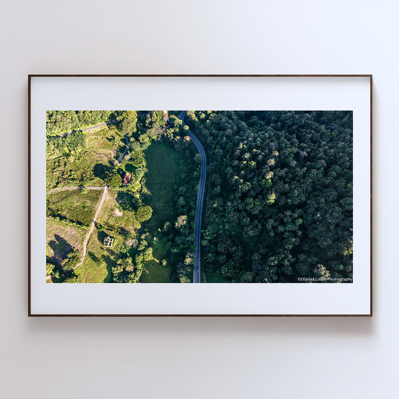 COLLECTION - FROM ABOVE HORIZONTAL - "Two Sides of Green" - LIMITED EDITION 10 of 10