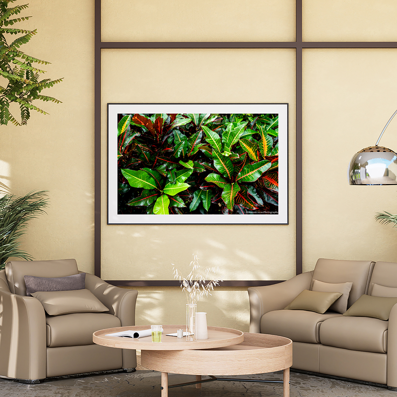 THE ONE - WILDLIFE & NATURE - "Croton" - LIMITED EDITION 5 of 5