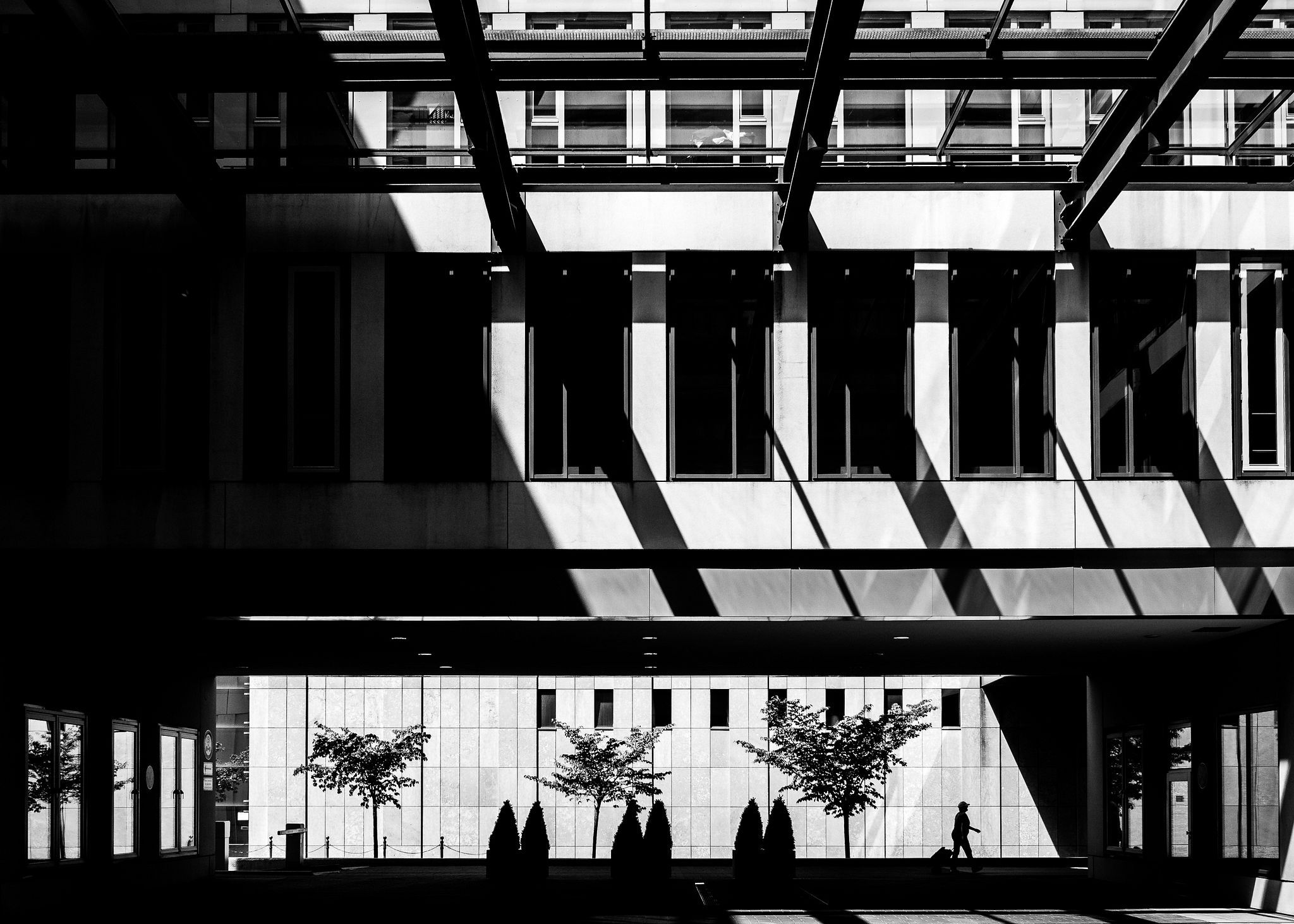 Black and White