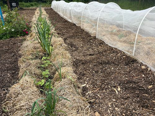 No-till gardening and mulching