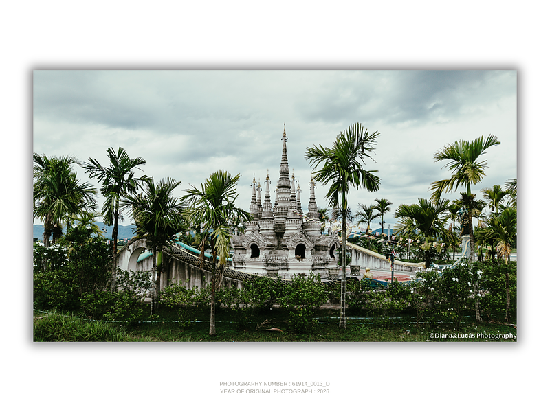 THE ONE - AERIAL PRINTS - "Between The Palms" - LIMITED EDITION 5 of 5