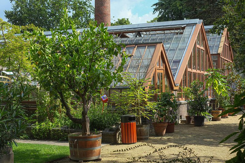 Oude Hortus Utrecht
