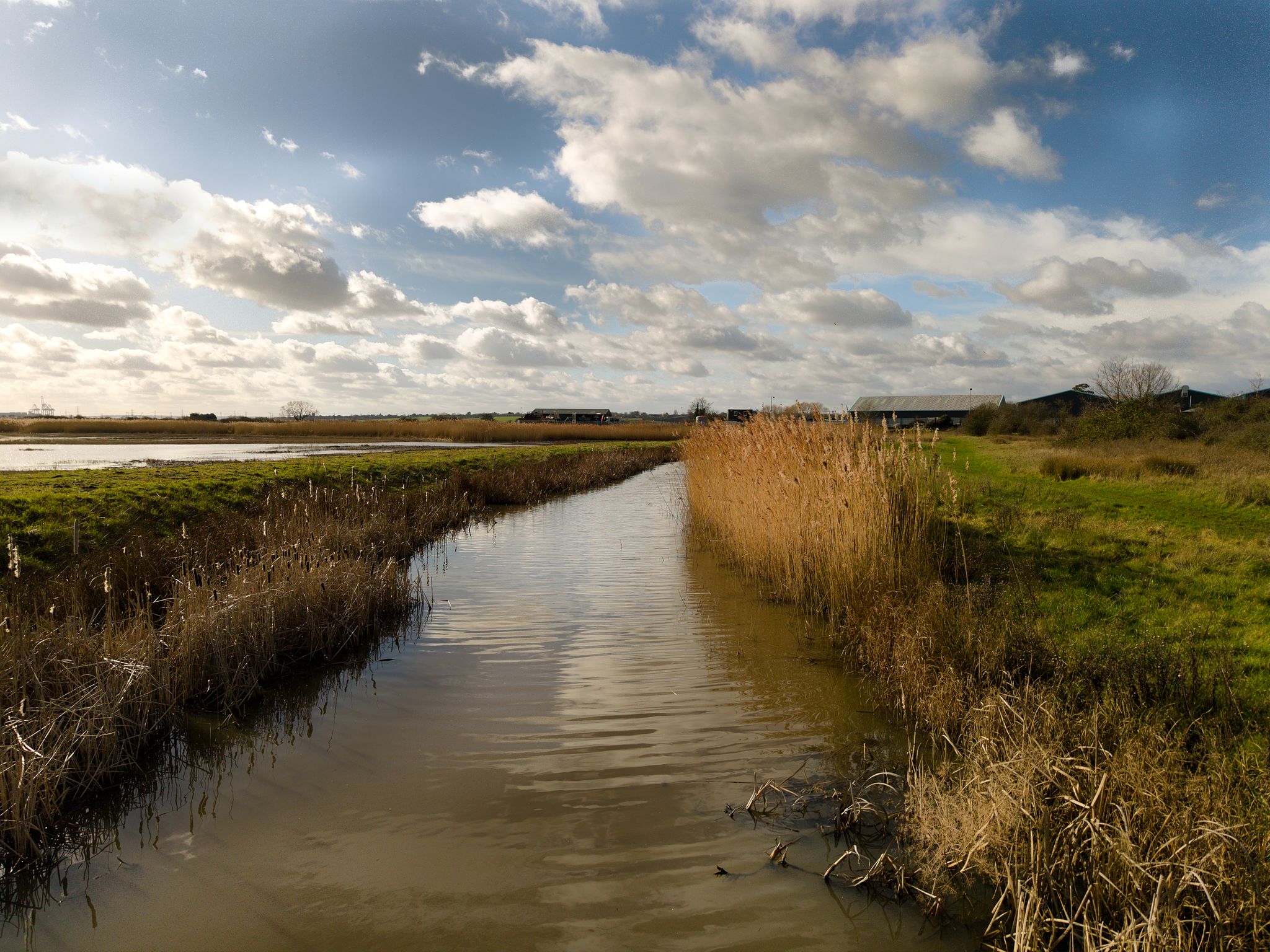 Aerial photograph of a winding tidal channel flowing through golden marshland beneath a wide coastal sky.