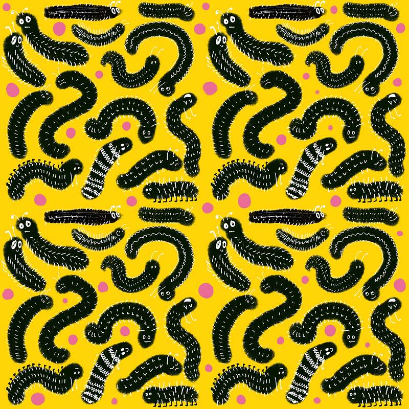 Caterpillar Collection