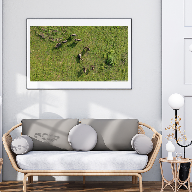 THE ONE - AERIAL PRINTS - "Wild Nature" - LIMITED EDITION 5 of 5