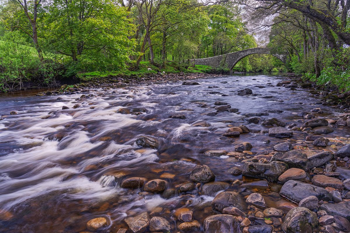 Ivelet bridge, River Swale