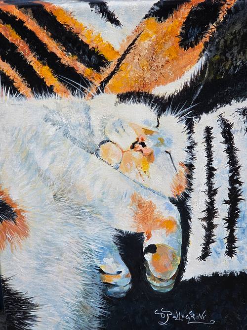 Merry's Blanket