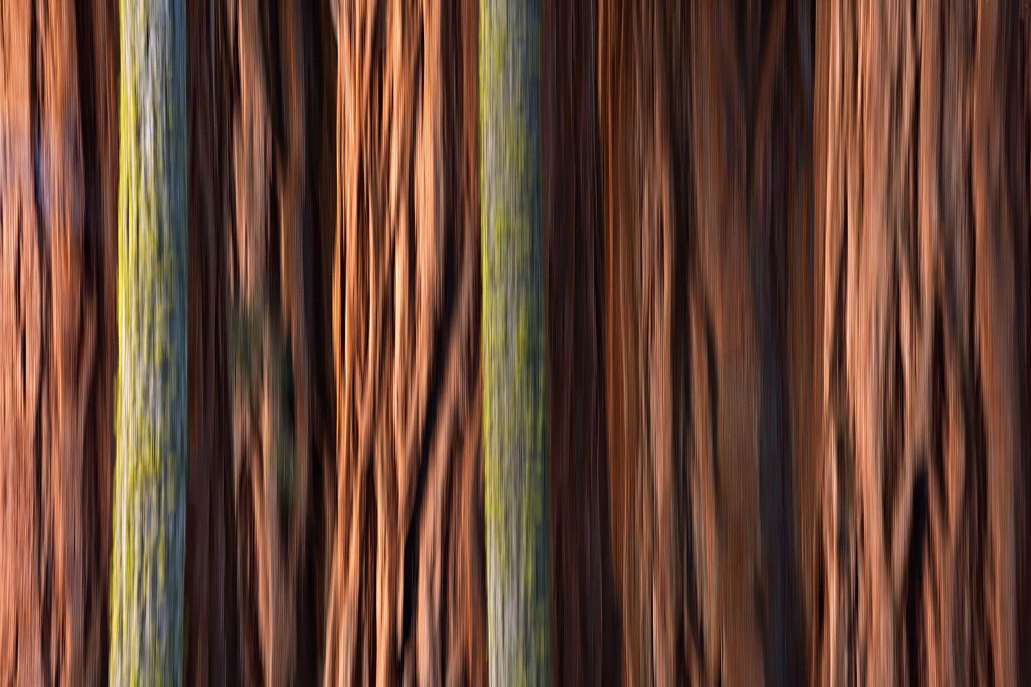 nanette kardaszeski fine photography
