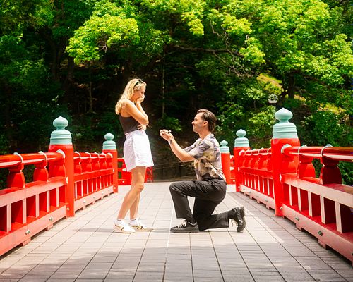 Premium Proposal Experience