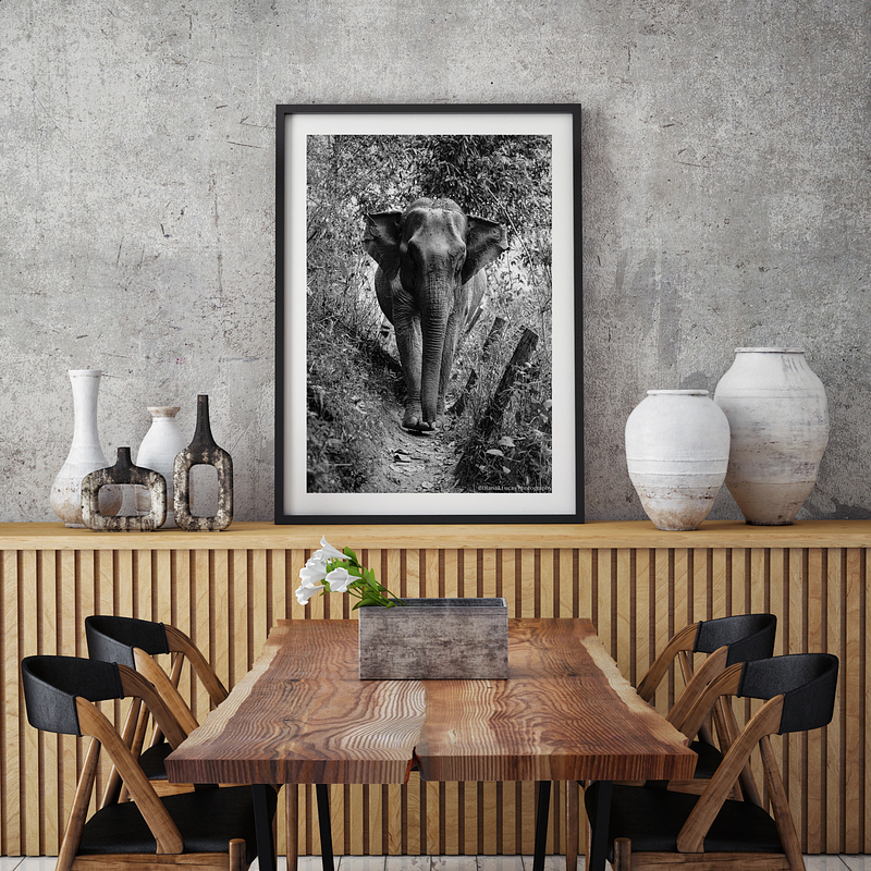 COLLECTION - GIANTS OF THE LAND VERTICAL - "The Thin Track" - LIMITED EDITON 5 of 5