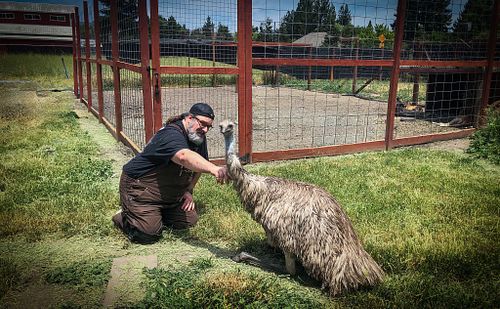 Enrico Spadoni is a talented portrait, product, and animal photographer who is based in Healdsburg, California.