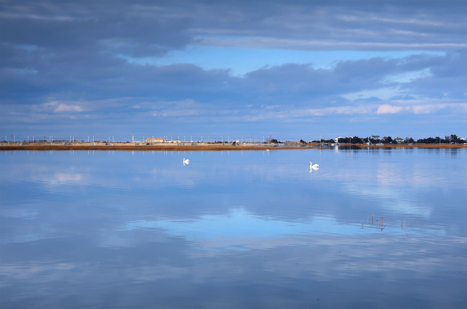 Alison Perry Photography