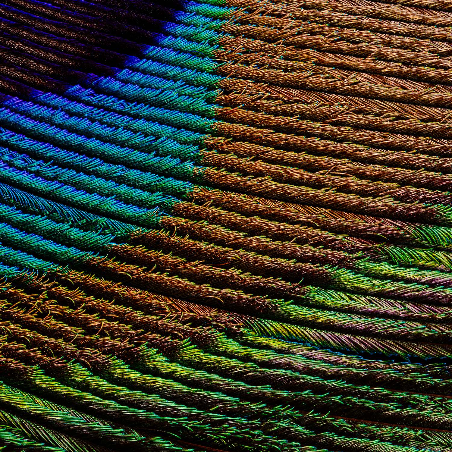 Macro and Product