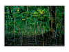 THE ONE - LINES & SHAPES - "Young Forest" - LIMITED EDITION 5 of 5