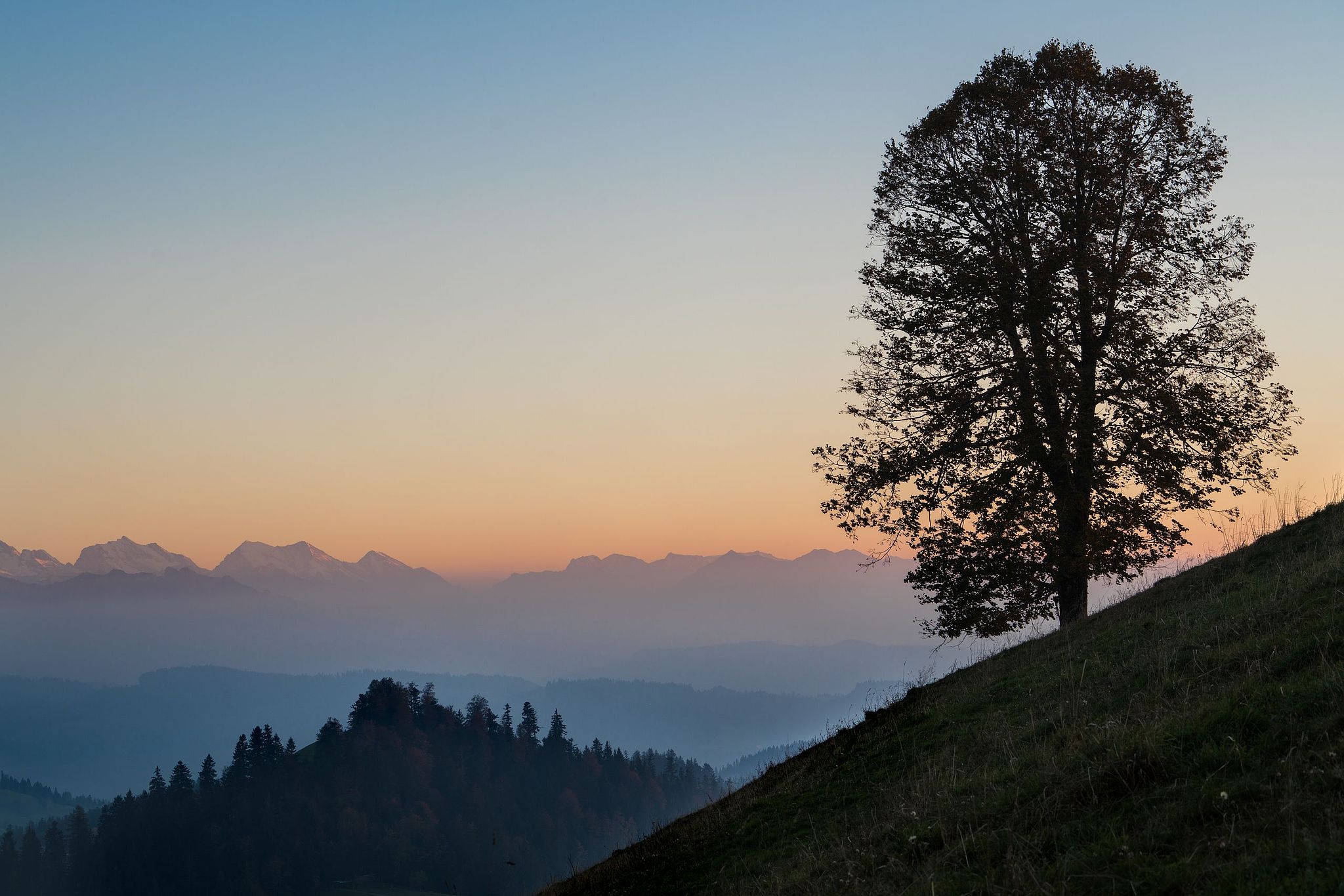 Auf der Lüderenalp