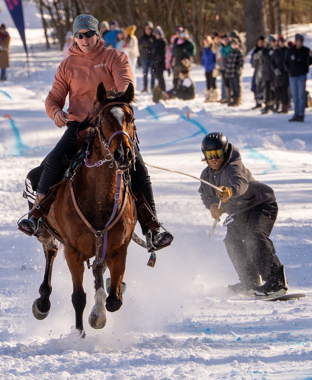 Skijoring Competition with Horse and Rider