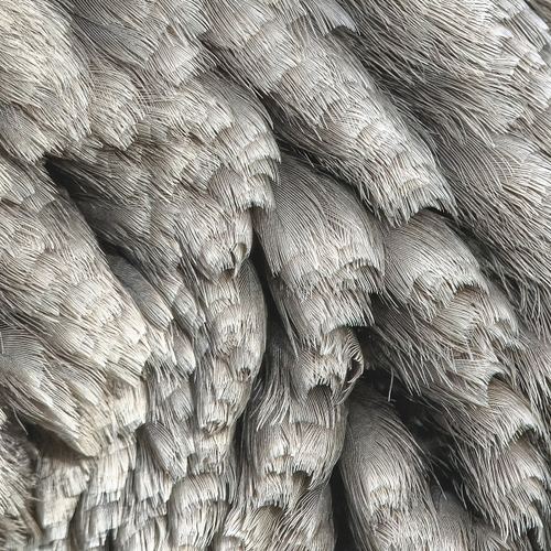 FEATHERSCAPES