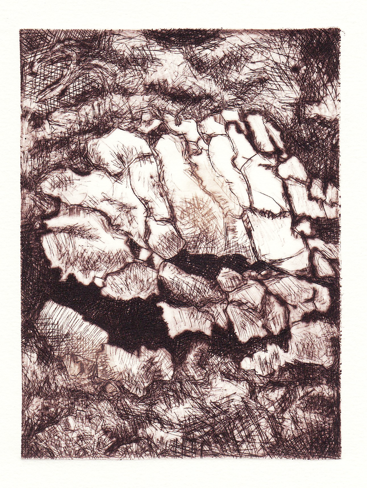 Stenrose
