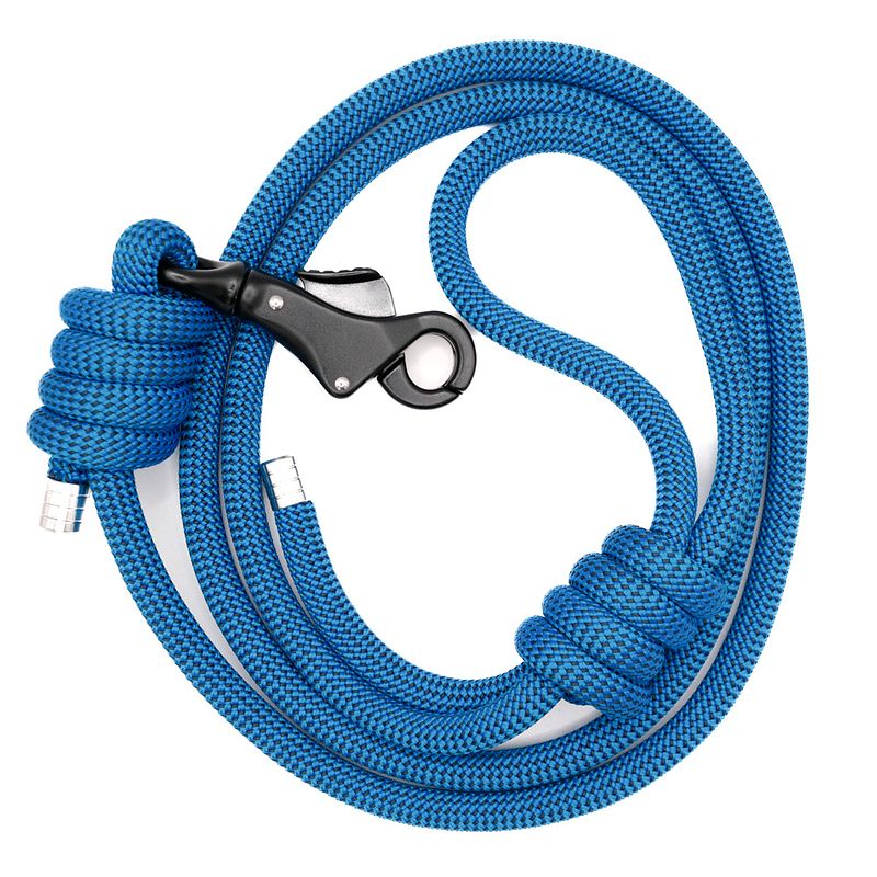 The Apex Lead™ - Buzzworthy Blue