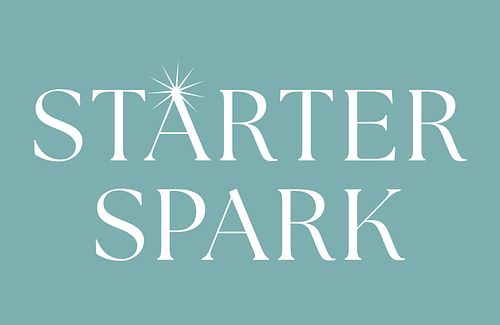 Starter Spark