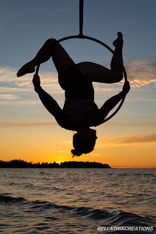 PERFORMER