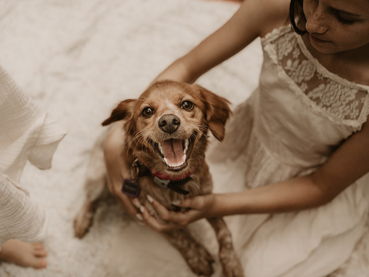 Pet Photography