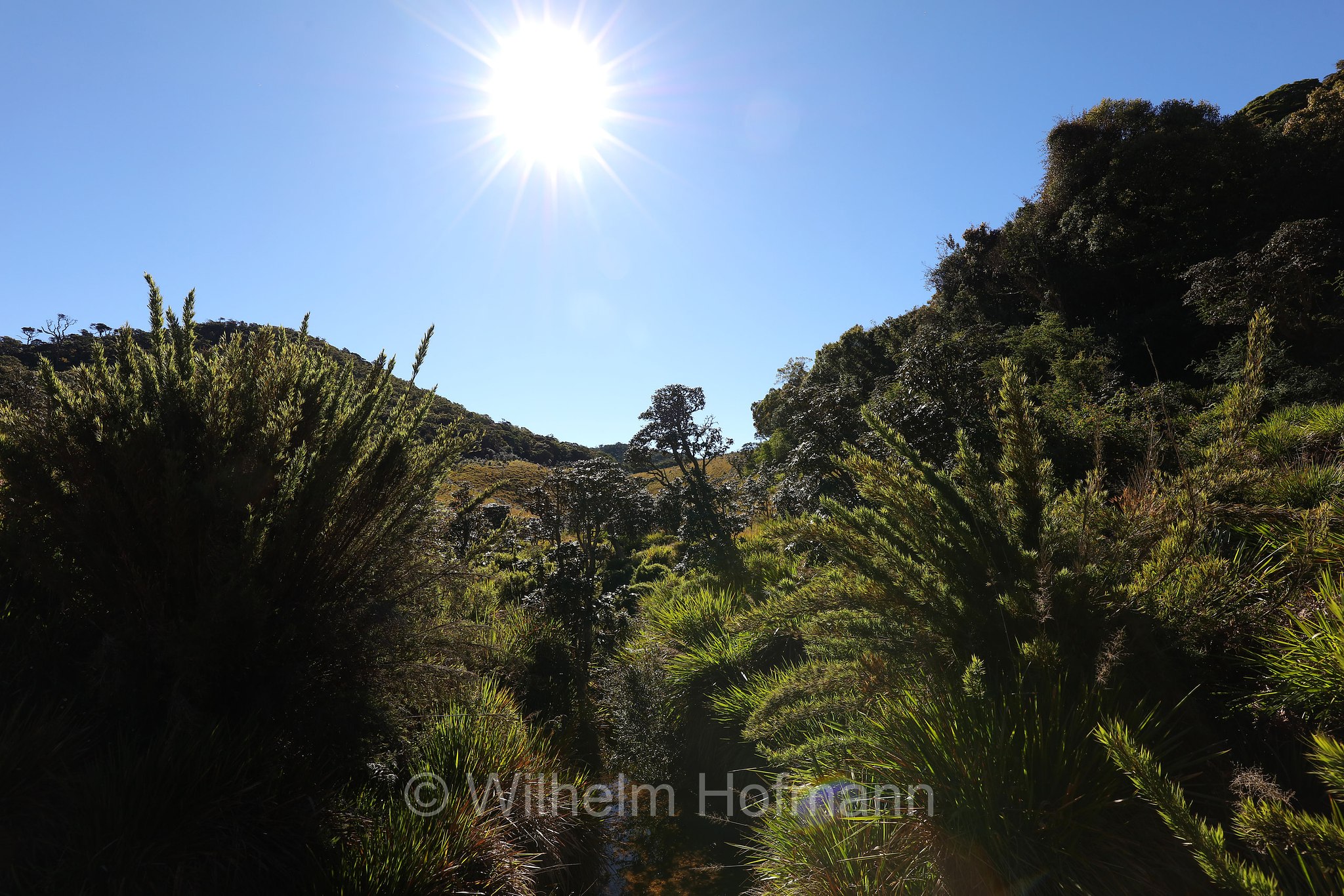 Horton Plains National Park, Horton-Plains-Nationalpark, parco nazionale Horton Plains, Sri Lanka