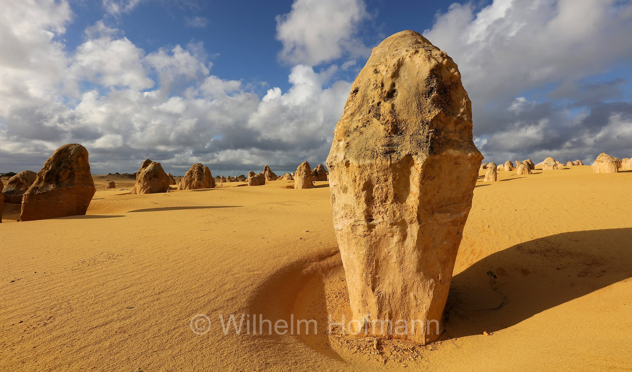 Pinnacles Desert, Nambung National Park, Nambung-Nationalpark, Parco nazionale di Nambung, Western Australia, Westaustralien, Australia Occidentale, Australia, Australien