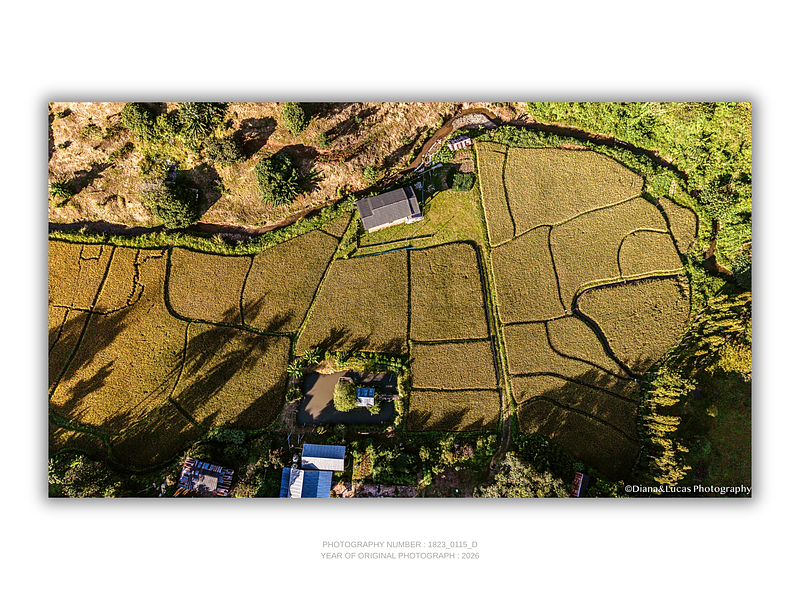 COLLECTION - FROM ABOVE HORIZONTAL - "The Shadow Fields" - LIMITED EDITION 10 of 10