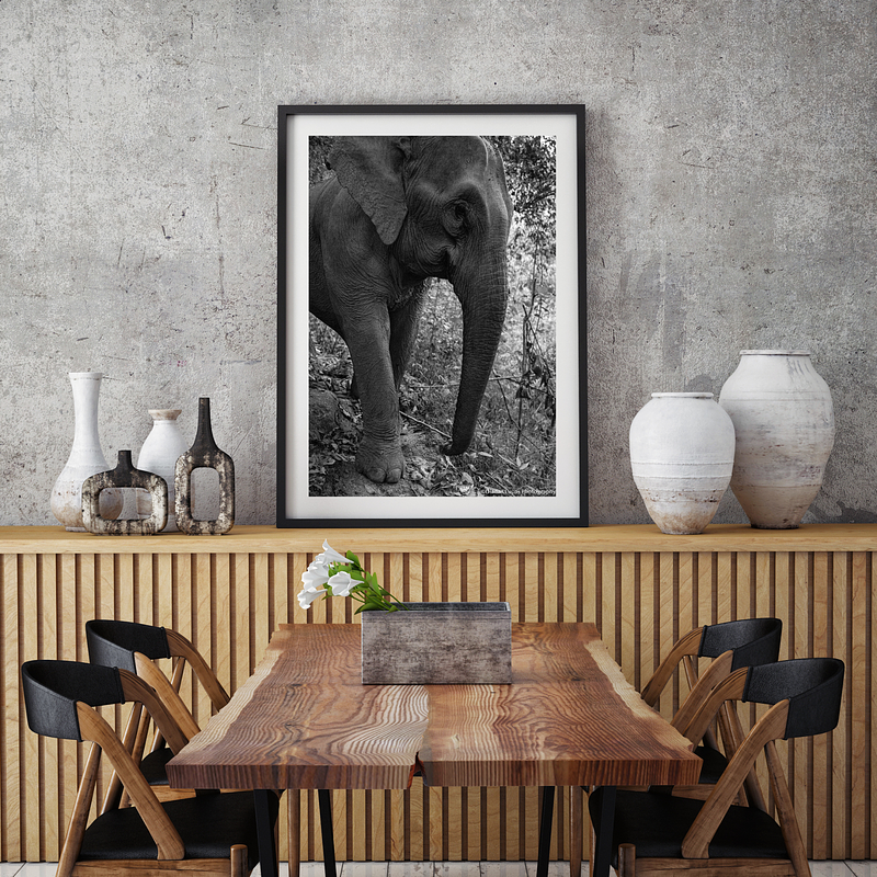 COLLECTION - GIANTS OF THE LAND VERTICAL - "What Skin Remembers" - LIMITED EDITION 5 of 5