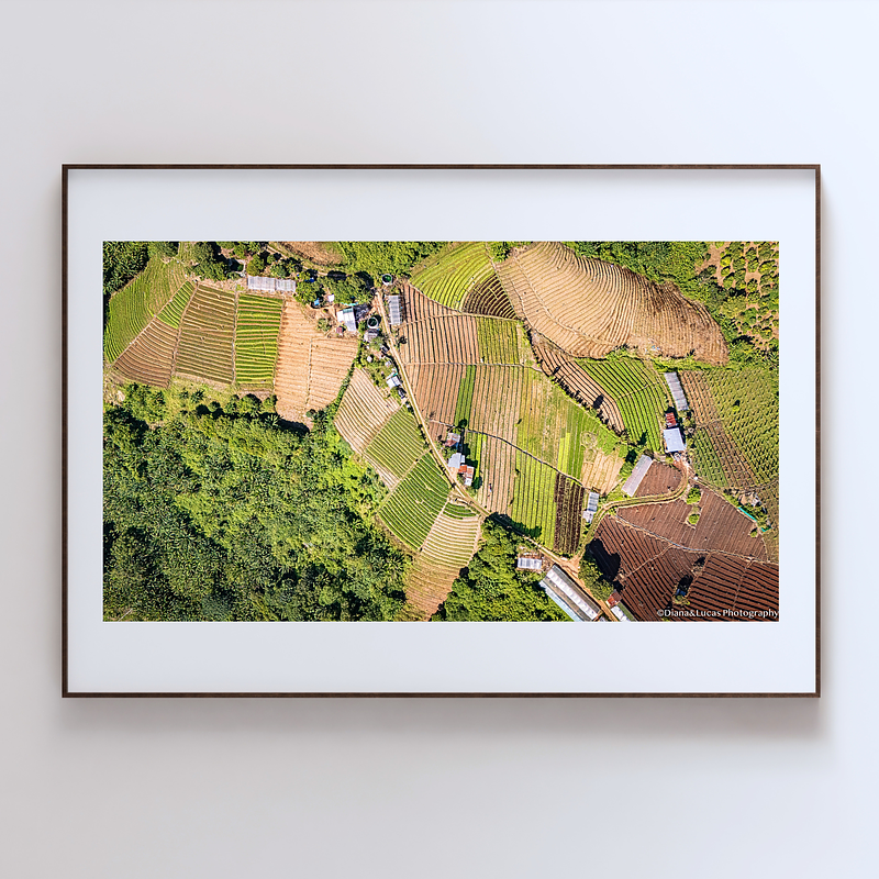 COLLECTION - FROM ABOVE HORIZONTAL - "The Farmed Patchwork" - LIMITED EDITION 10 of 10
