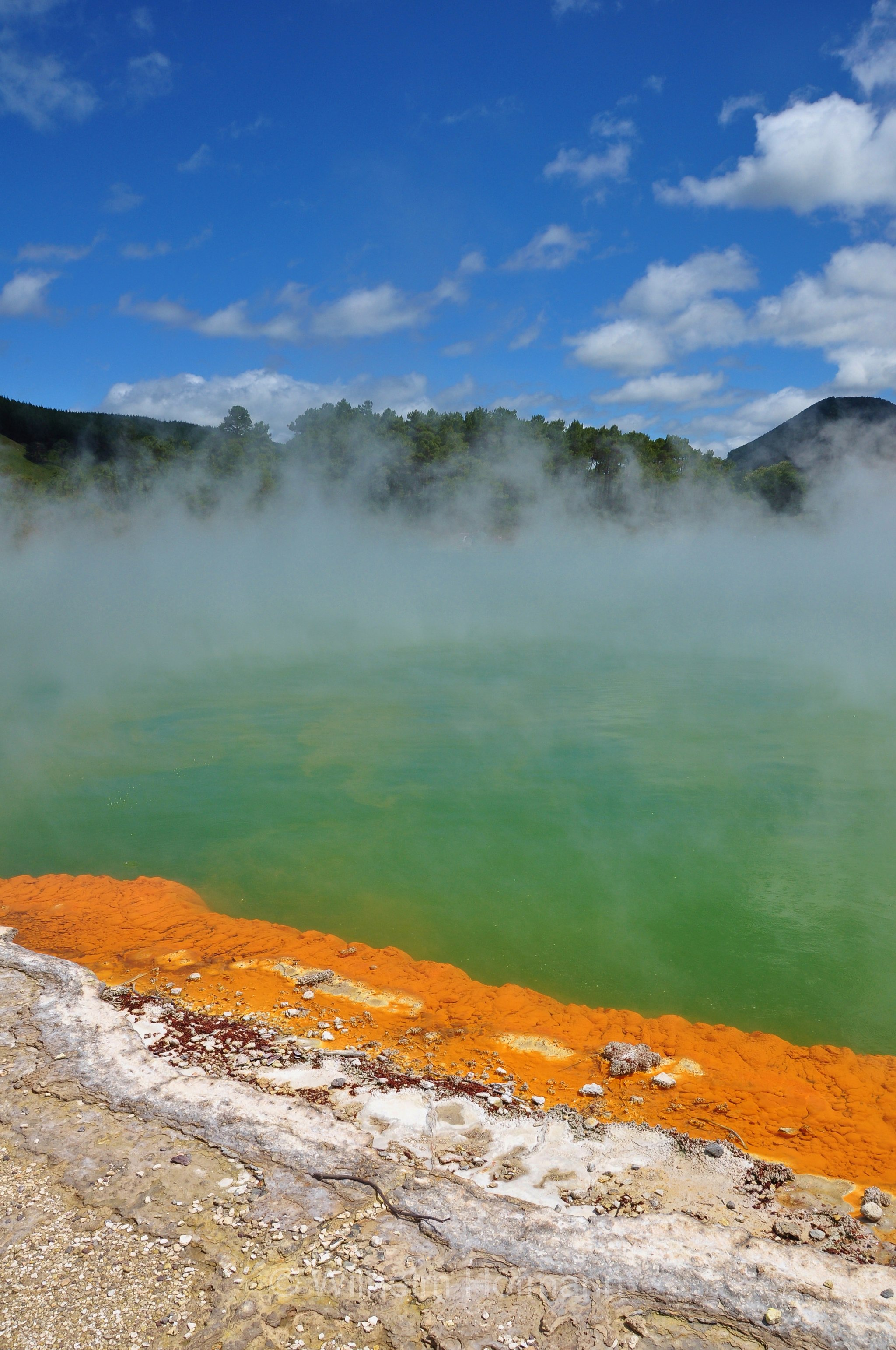 Champagne Pool, Waiotapu, Wai-O-Tapu, Reporoa Caldera, North Island, Nordinsel, Isola del Nord, New Zealand, Neuseeland, Nuova Zelanda