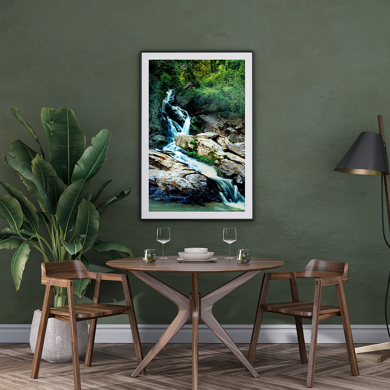 THE ONE - WILDLIFE & NATURE - "Over the Rocks" - LIMITED EDITION 5 of 5