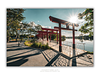 THE ONE - LINES & SHAPES - "Gate and Sun" - LIMITED EDITION 5 of 5