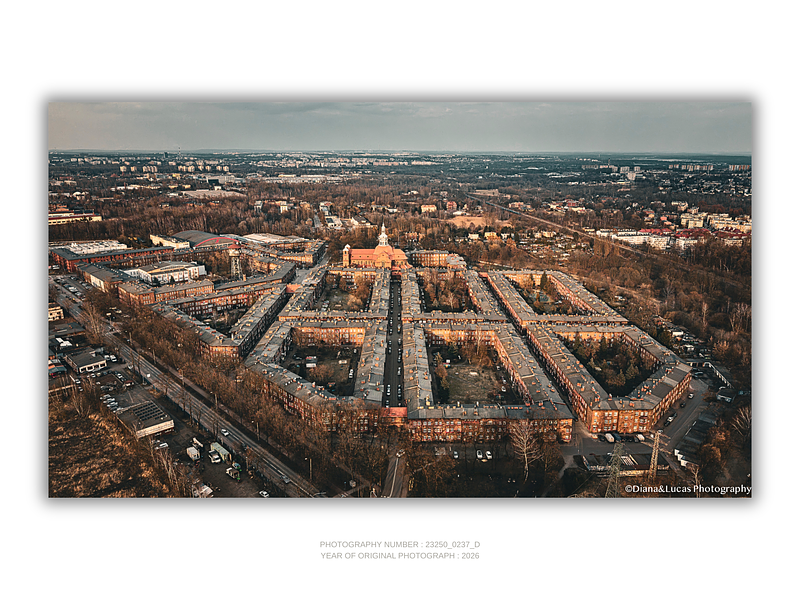 COLLECTION - FROM ABOVE HORIZONTAL - "Built in Order" - LIMITED EDITION 10 of 10
