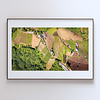 COLLECTION - FROM ABOVE HORIZONTAL - "The Farmed Patchwork" - LIMITED EDITION 10 of 10