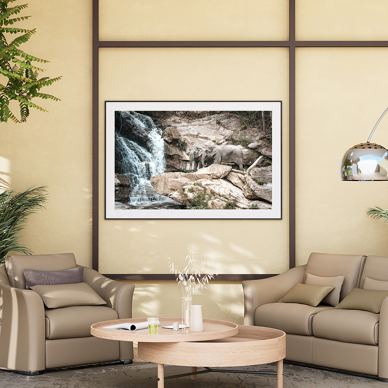 THE ONE - WILDLIFE & NATURE - "Their Waterfall" - LIMITED EDITION 5 of 5