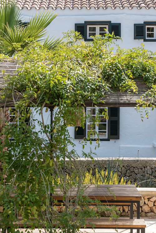 Façade de la finca d’agrotourisme à Santa Ponça, Minorque, avec pergola fleurie, banc en bois et volets verts. Photographie par Nicolas Karadimos.