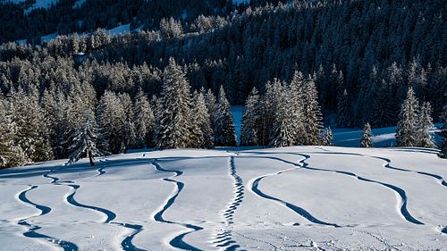 Spuren im Schnee