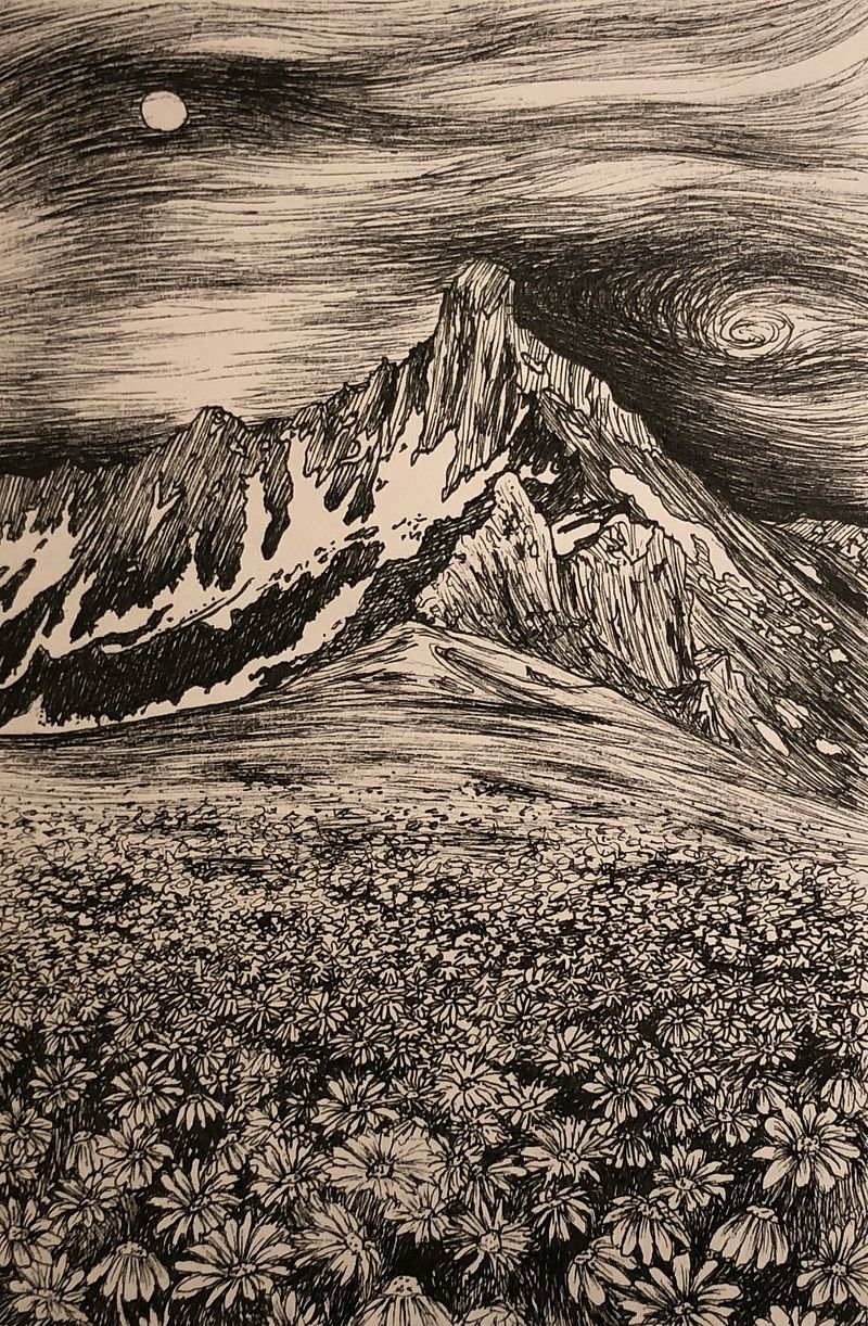 Sketchbook