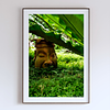 THE ONE - QUIET ICONS - "Hidden In Green" - LIMITED EDITION 5 of 5