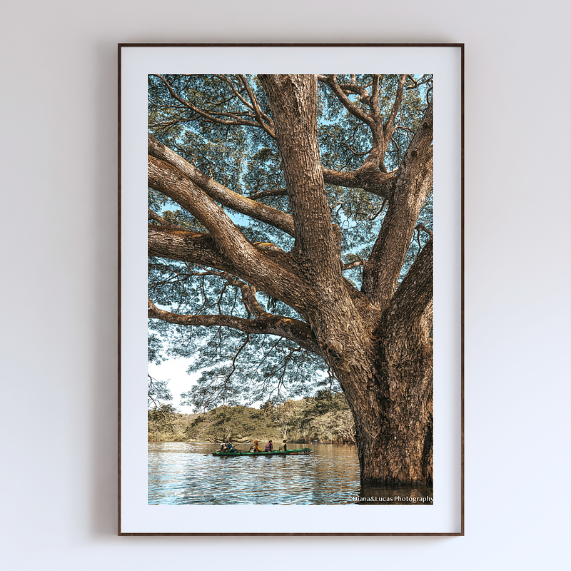COLLECTION - GIANTS OF THE LAND VERTICAL - "Everything in Proportion" - LIMITED EDITION 10 of 10