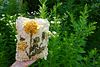 ode to the wild weed: charm