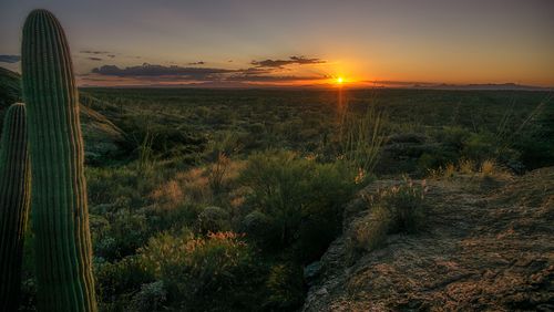 Skies, sunrise, sunset, dessert, Tucson, Arizona, southwest, cactus, dawn, dusk, vast, travel, nature, landscape,